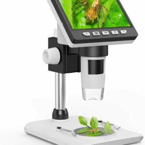 Microscopio Digital